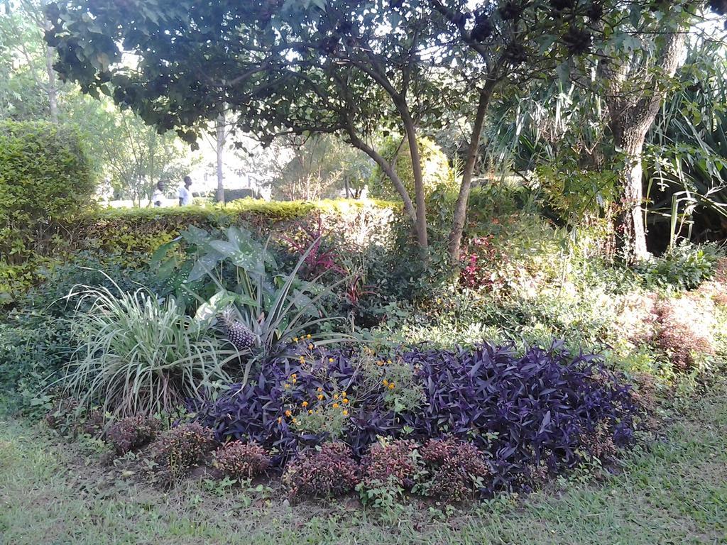 Brownstone Country Home Lira Ngoại thất bức ảnh
