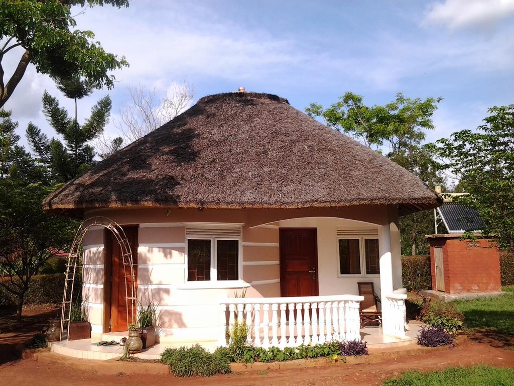 Brownstone Country Home Lira Ngoại thất bức ảnh