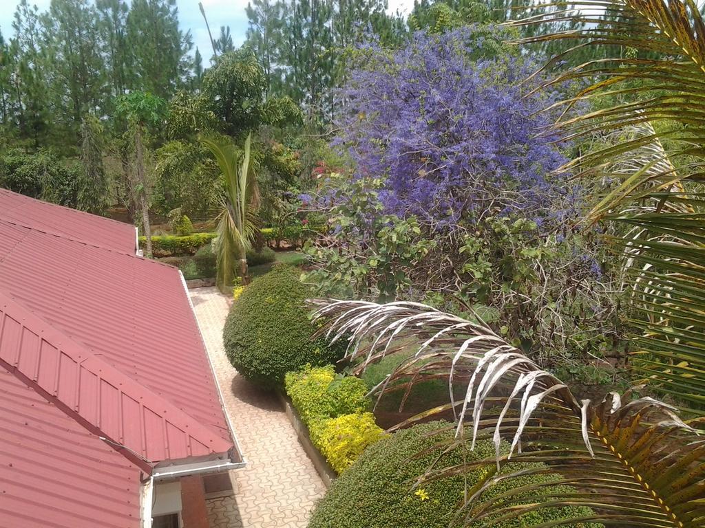 Brownstone Country Home Lira Ngoại thất bức ảnh